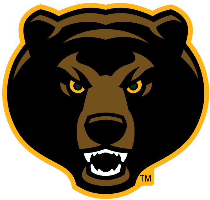 Baylor Bears 2005-2018 Alternate Logo 07 iron on paper